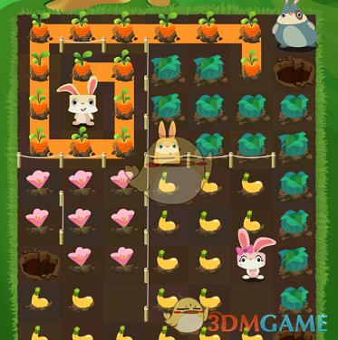 半熟小屋为张晨溪庆生